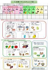 照片：手册 16页