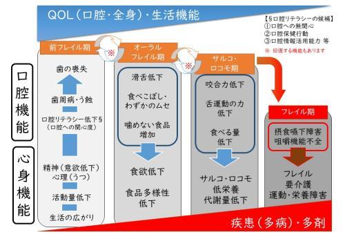 插图：口腔功能与身心功能的关系