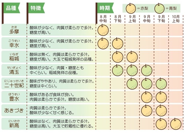 插图：品种、特点、时期