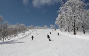 照片：享受滑雪和单板滑雪的情景