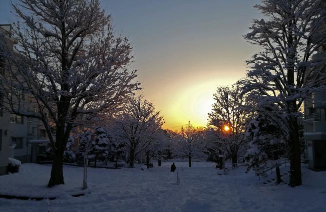 图像下雪的早晨