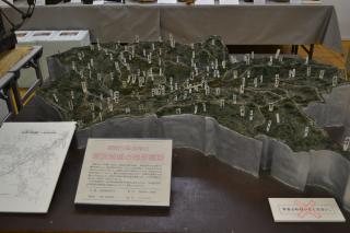坂滨地区的地形模型