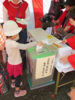 投票箱中儿童 mogi 和冰雹选票的图像