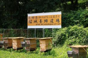 图像稻城养蜂道场