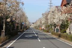 Photo: Tateidai Kobushi Street