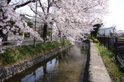 Photo: Omaru Shinsui Park