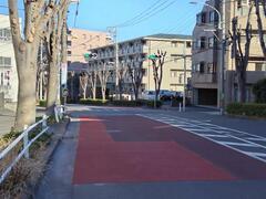 Photo: Pedestrian Signal