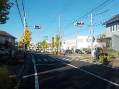 Photo: Kawarabata Children's Park Entrance Crosswalk Signal