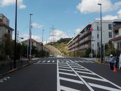 Photo: Signal light at the intersection in front of Nihon University Ground