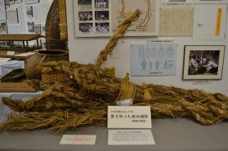 Photo: Exhibition of the model of the head of a giant snake