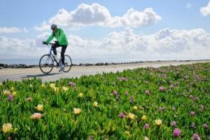 Photo: Cycling