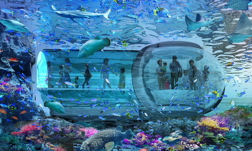 Aquarium Image