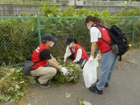 Photo: Beautification Campaign Scene 1