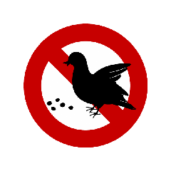 Illustration: Do not feed the pigeons