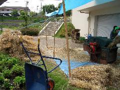 Photo: Wheat Threshing Experience 1