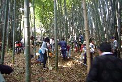 Photo: Bamboo Shoot Digging Experience 1