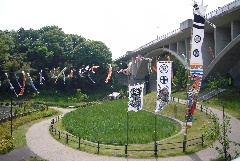 Photo: A picture of carp streamers being displayed