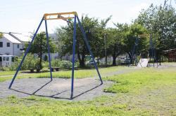 Photo: Tarzan Rope Playground