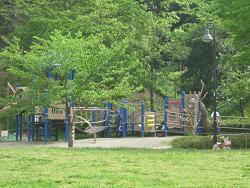 Photo: Omaru Park 6