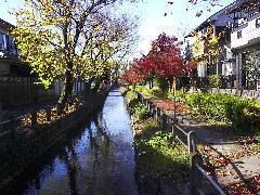 Photo: Autumn Leaves