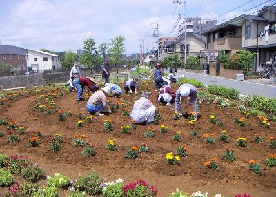 Photo: Activities under the Adoption System