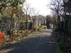 Photo: Flower Path