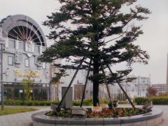 Photo: i Plaza Interaction Road Circular Flower Bed