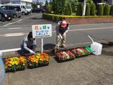 Photo: Flower Abundance Movement 1