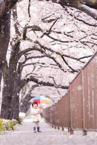 Photo: Grand Prize "A Spring Day with Falling Snow"