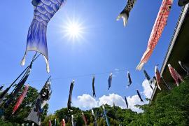 Photo: Excellence Award "Kasayato's Koinobori"