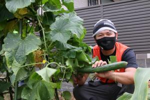 Photo: Harvesting Scene 1