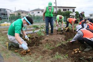 Photo: Harvesting Scene 3