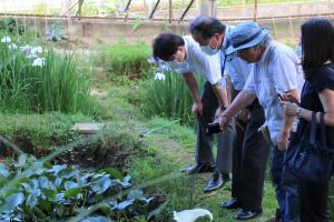 Photo: A scene of enjoying the iris flowers