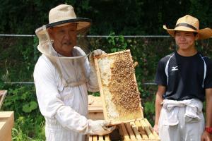 Photo: Mr. Shiobara and the bees in the nest box