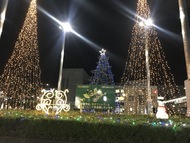 Photo: Wakabadai Illumination 2023