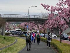 Photo: A view of the walking around the area