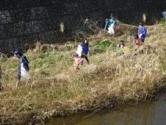 Photo: Misawa River Cleaning Scene 3