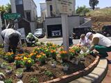 Photos people planting flowers