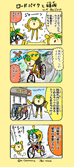 Inagi Nashinosuke 4 Frames Road Bike and Inagi
