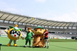 Image Cheering on the pitch before the match