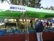 Image Sale of fresh vegetables