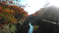 Image Misawa River in autumn