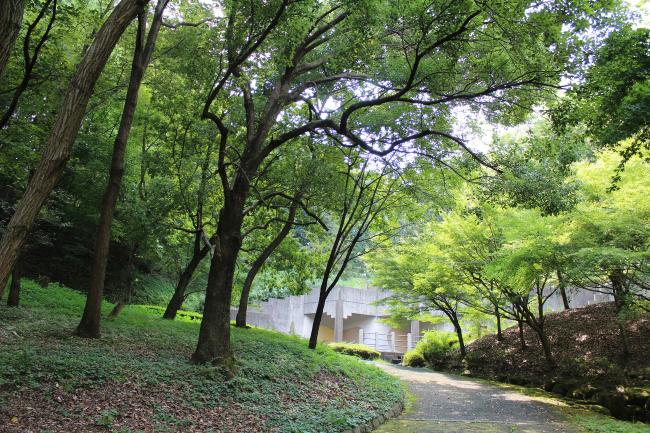 Image Inagi Central Park Climbing Road-Summer