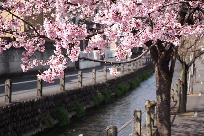 Image Spring/Daimaru Irrigation Water