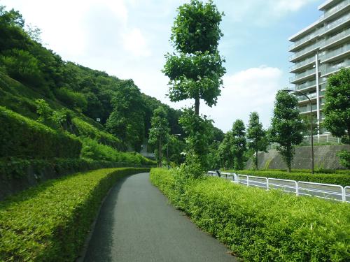Image Shiroyama Street