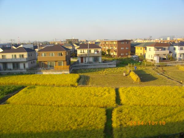 Image from the train window of the Nambu Line...Autumn 2014