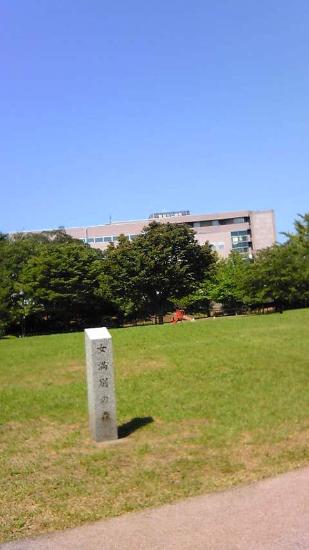 Image View of the city hospital from Daimaru Park