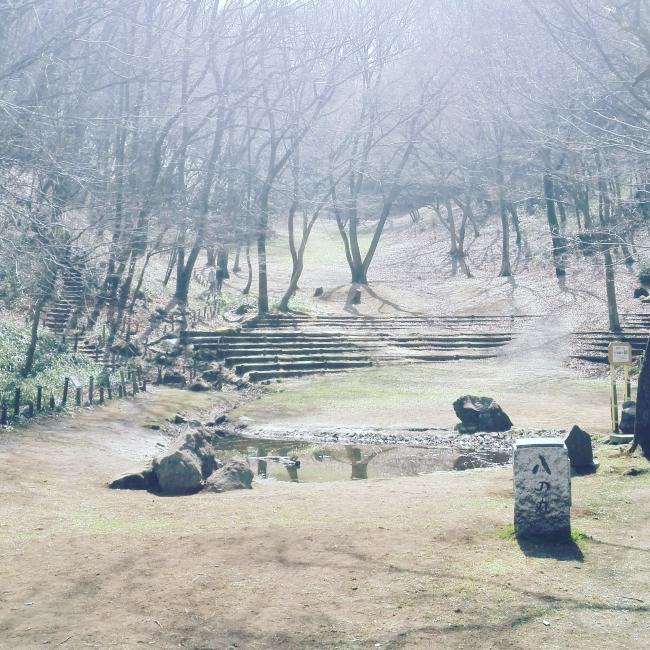 Image Is spring still here? (Shiroyama Park)