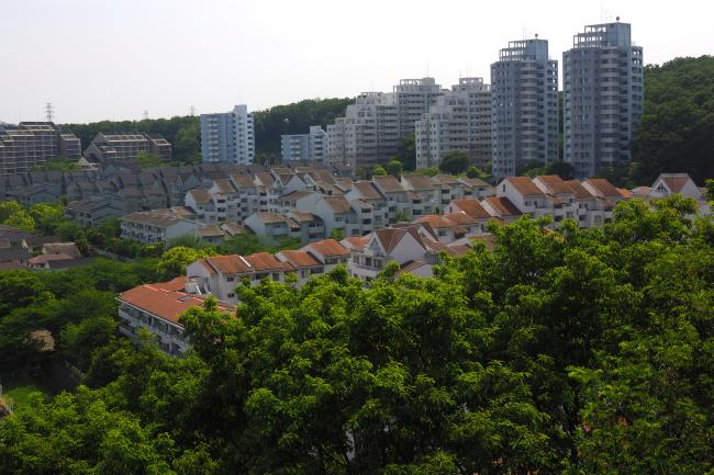 Image Koyodai surrounded by fresh greenery