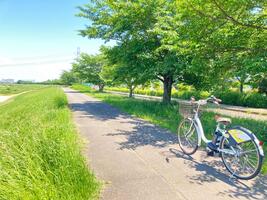 Photo Tamagawa Cycling Road